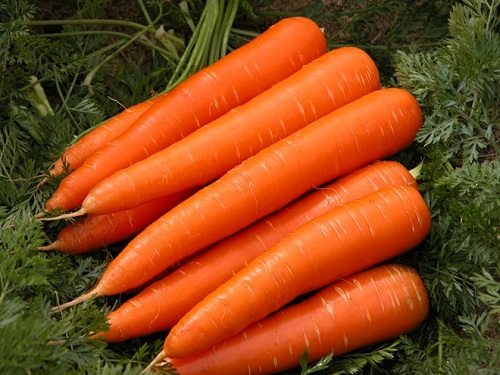 Cà rốt có chứa nhiều chất dinh dưỡng tốt cho bé