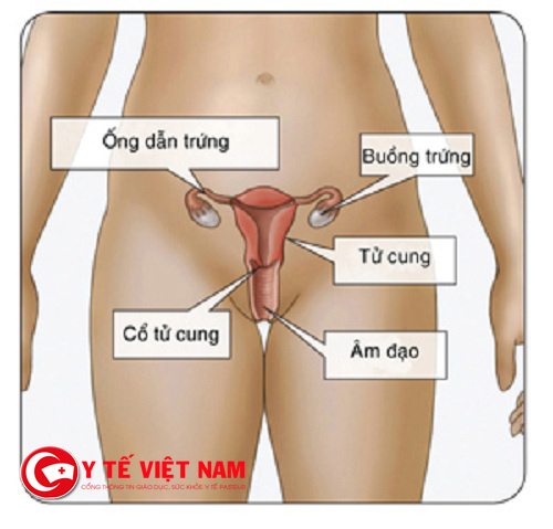 Bật mí nguyên nhân dẫn đến vô sinh cả hai giới