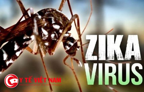 65 ca nhiễm virus Zika ở nước ta 65 ca nhiễm virus Zika ở nước ta