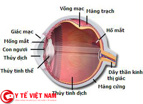 Bệnh ung thư mắt là gì?