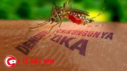Thêm trường hợp nhiễm virus Zika mới ở Bà Rịa- Vũng Tàu