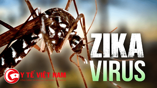 phong-ngua-virus-Zika