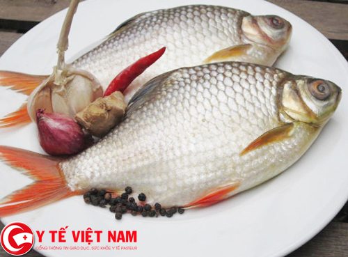 Các món ăn từ cá diếc chữa bệnh tiểu đường, viêm đại tràng và cao huyết áp