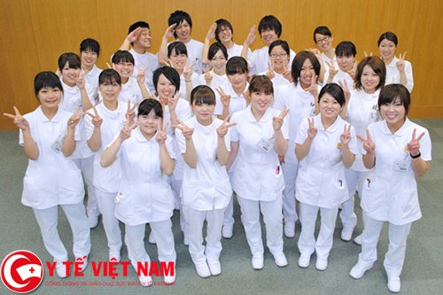 Nha khoa Tâm An tuyển dụng điều dưỡng viên làm việc tại Hà Nội