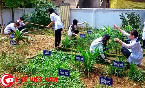 Bộ môn Nuôi – Trồng Dược liệu Bộ môn Nuôi – Trồng Dược liệu