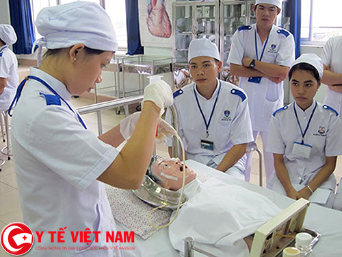 Tuyển dụng giáo viên dược làm việc tại Hà Nội 