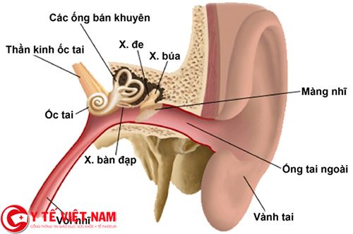 Cấy ốc tai điện tử miễn phí cho trẻ em bị điếc bẩm sinh 