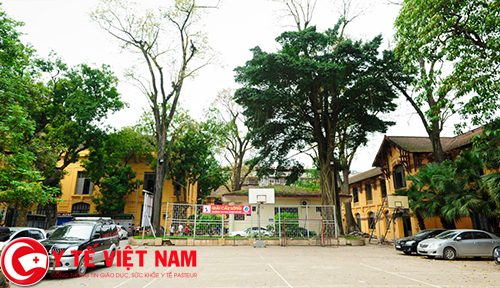 Diện tích khuôn viên của trường khá nhỏ. Tuy vậy, trường vẫn có khá nhiều cây xanh, tạo nên sức sống cho ngôi trường trăm tuổi Diện tích khuôn viên của trường khá nhỏ. Tuy vậy, trường vẫn có khá nhiều cây xanh, tạo nên sức sống cho ngôi trường trăm tuổi