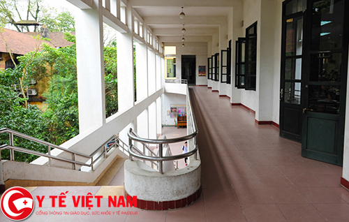 Hiện nay, trường có 16 phòng ban, 21 bộ môn, 4 viện và trung tâm nghiên cứu. Hiện nay, trường có 16 phòng ban, 21 bộ môn, 4 viện và trung tâm nghiên cứu.