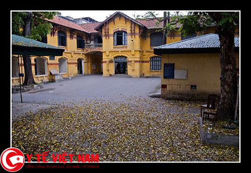 Khuôn viên trường Đại học Dược Hà Nội Khuôn viên trường Đại học Dược Hà Nội