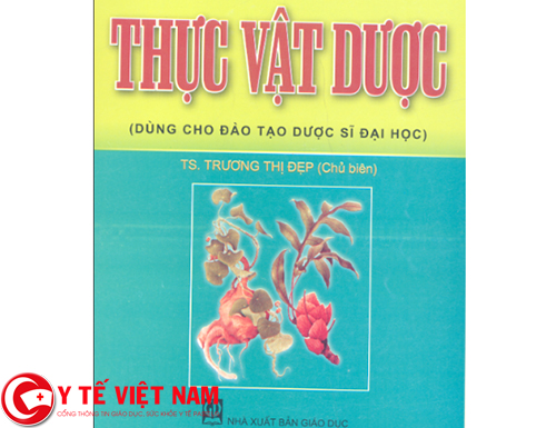 Tìm hiểu về bộ môn Thực vật trường Đại học Dược Hà Nội Tìm hiểu về bộ môn Thực vật trường Đại học Dược Hà Nội