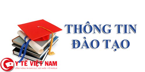 Trường Đại học Dược Hà Nội đào tạo sau đại học và những thông tin cần biết Trường Đại học Dược Hà Nội đào tạo sau đại học và những thông tin cần biết