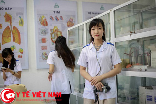 Trình dược viên chuyên nghiệp làm việc tại Hà Nội lương cao