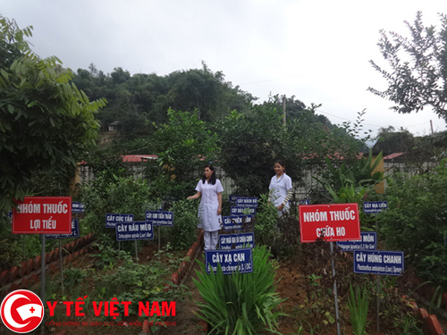 Vườn thực vật (diện tích 8.000 m2 và 562 loài) Vườn thực vật (diện tích 8.000 m2 và 562 loài)