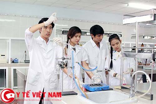 Mô tả việc làm tuyển nhân viên y tế tại Bắc Giang