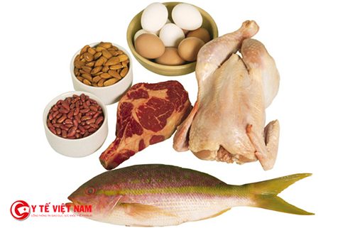 Thực phẩm giàu protein giúp giảm mỡ toàn thân hiệu quả