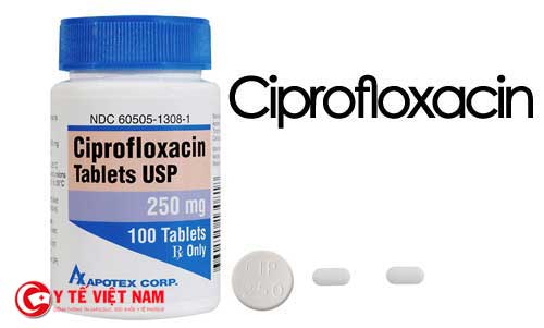 Thuốc Ciprofloxacin là thuốc gì