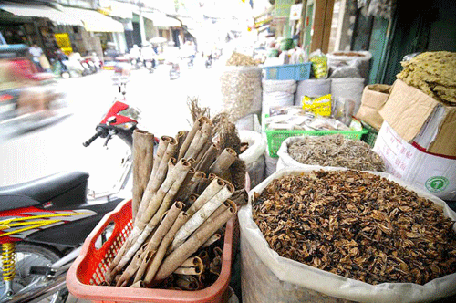 Phố thuốc bắc - Một nét văn hóa đặc sắc tại Hà Nội