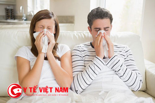 Bệnh viêm mũi dị ứng sẽ gây cho người bệnh luôn bị hắt hơi hàng tràng