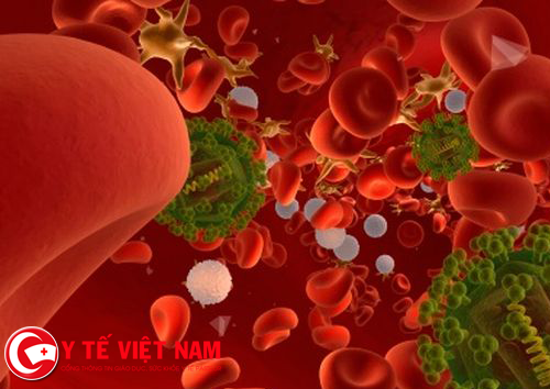 Giai đoạn lây nhiễm HIV đầu tiên chỉ xuất hiện trong máu chưa bộc lộ bên ngoài