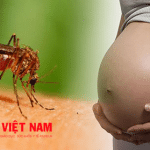 phu-nu-co-thai-truoc-virus-zika