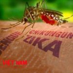 nhiem-virus-zika