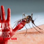 virus_zika