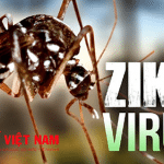 phong-ngua-virus-Zika