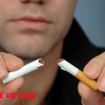 Không hút thuốc lá cách phòng bệnh suy thận hiệu quả