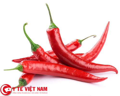 ớt đỏ vị thuốc Nam chữa bệnh suy giãn tĩnh mạch chân