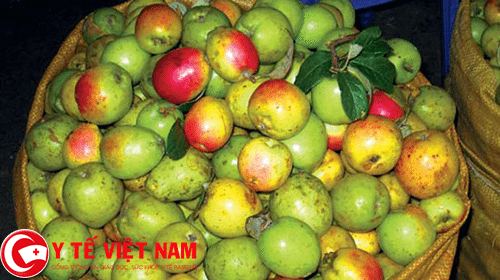 Sơn tra vị thuốc Đông y chữa bệnh rối loạn tuần hoàn não