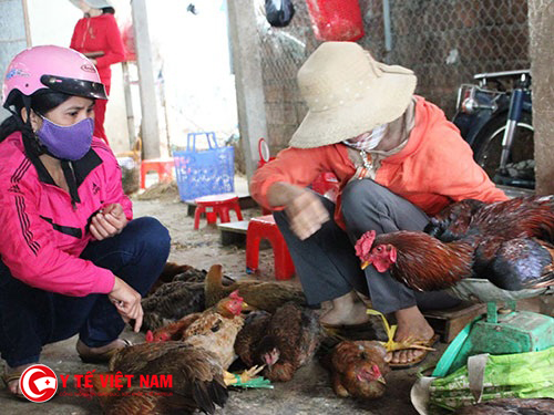 Theo dự thảo của Bộ Công Thương sẽ cấm người dân buôn bán gà vịt