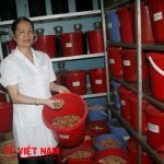 Lương y Đặng Thị Lâm chữa bệnh gút