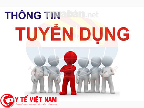 Tuyển dụng Trưởng phòng kinh doanh tại Hà Nội