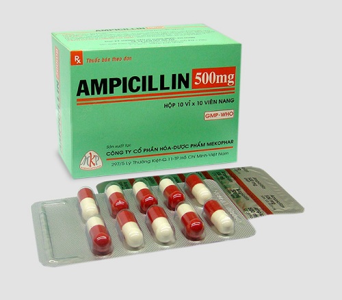 Dược sĩ Cao đẳng hướng dẫn cách dùng thuốc Ampicilin đúng liều lượng
