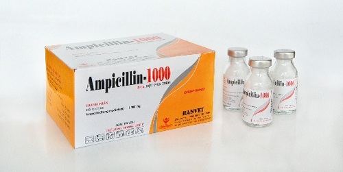 Những tác dụng phụ thông thường của thuốc Ampicillin