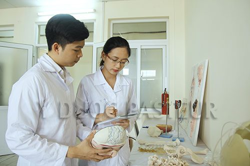 Ngành Điều dưỡng Việt Nam hình thành và phát triển như thế nào?