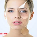 Collagen và elastin giúp phục hồi làn da lão hóa