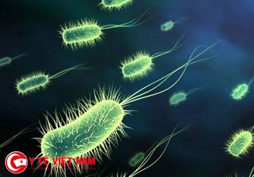 Cảnh báo: Ai cũng có nguy cơ mắc các siêu vi khuẩn trong bệnh viện