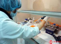Tổ chức Y tế Thế giới “đặt hàng” vắc xin phòng cúm mùa của Việt Nam