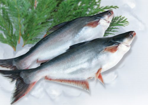 3 món ăn, bài thuốc từ cá giúp nam giới bồi bổ sức khỏe, tăng cường sinh lực