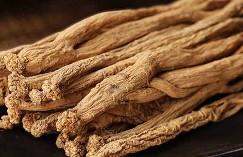 Đảng sâm Đảng sâm