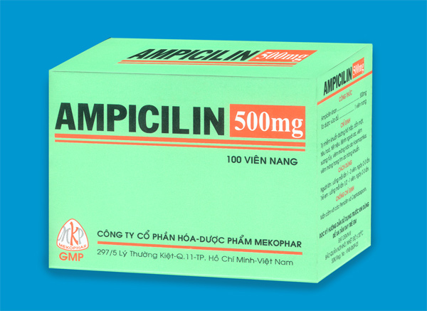 Công dụng, cách sử dụng và liều dùng Ampicillin