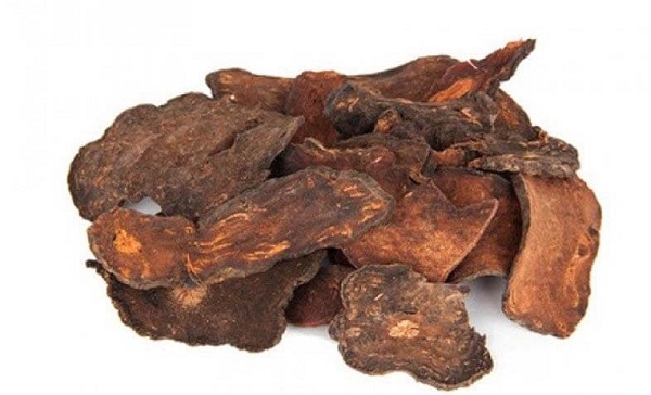 Vị thuốc hà thủ ô