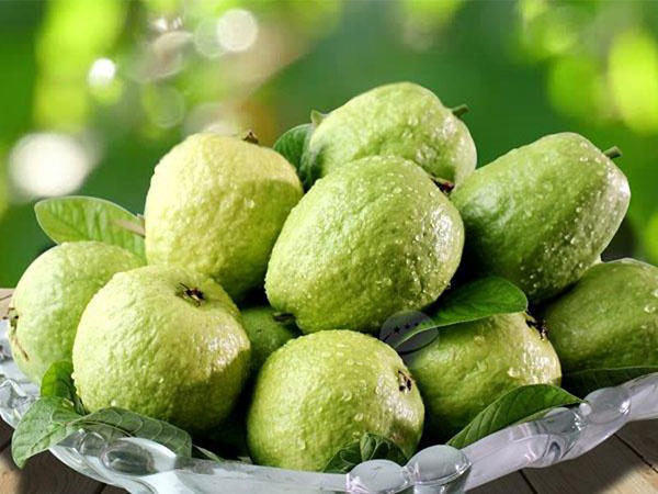 6 loại trái cây mùa hè giúp giảm cân siêu tốc lại đẹp