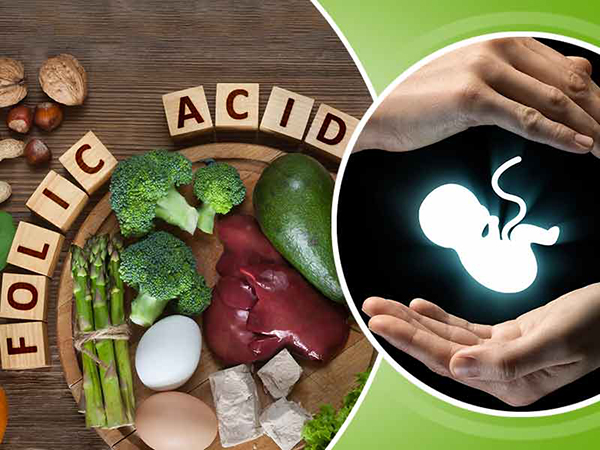 Acid folic giúp phòng dị tật về môi, tim, ống tiểu và chân tay ở trẻ mới sinh
