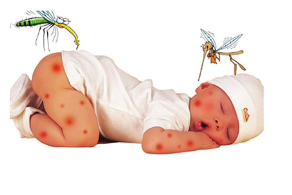 , sốt xuất huyết là bệnh truyền nhiễm do virus Dengue gây ra 