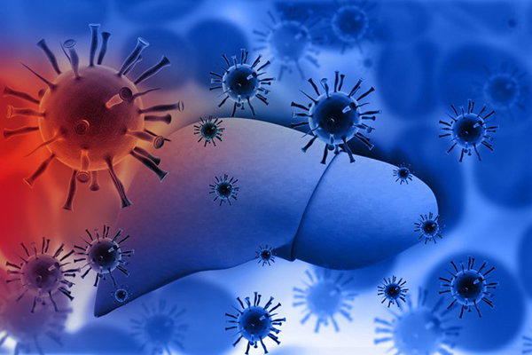 nguyên nhân chính gây bệnh viêm gan A là do virus viêm gan A Hepatitis A (HAV) gây ra